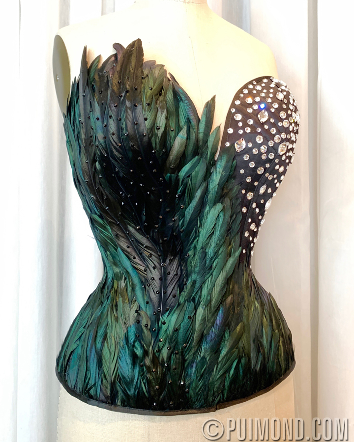 TWILIGHT Burlesque Costume Corset Black Swan Cosplay Feather