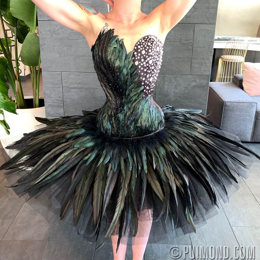 Black Swan Corset Bustier – LORETA